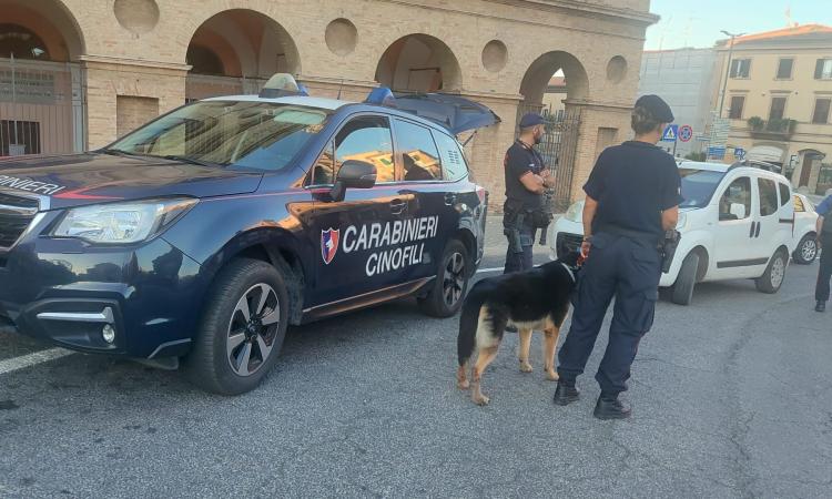Cani antidroga e posti di blocco: controlli a tappeto dei Carabinieri a Macerata