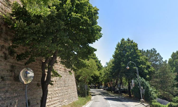Tolentino, via Filzi chiusa al traffico dal 14 al 16 luglio: come cambia la viabilità