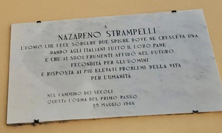 Castelraimondo, Crispiero protagonista del docufilm Rai dedicato a Nazareno Strampelli Castelraimondo, Crispiero protagonista del docufilm Rai dedicato a Nazareno Strampelli