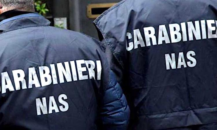 Controlli dei Nas a Porto Potenza: blatte morte e cucina sporca, chiuso ristorante di uno chalet
