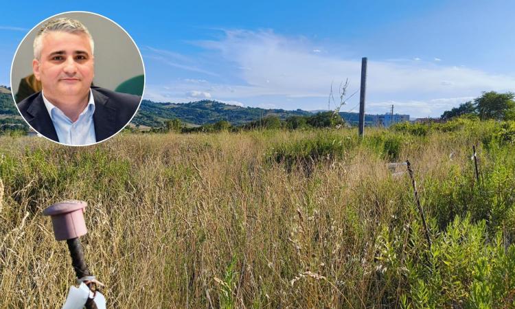 Tolentino, Bisonni: "Che fine ha fatto il campus scolastico di Tolentino?" Tolentino, Bisonni: "Che fine ha fatto il campus scolastico di Tolentino?"