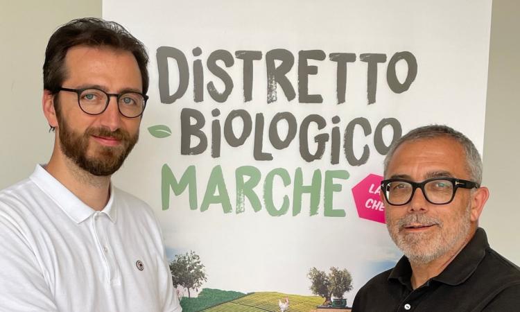 Tolentino, Andrea Passacantando è il nuovo presidente del Distretto Biologico Marche