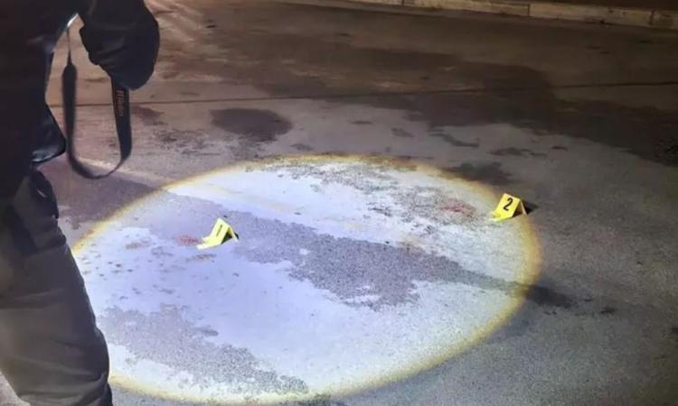 Aggredito mentre passeggia con il cane: 70enne ricoverato in gravi condizioni Aggredito mentre passeggia con il cane: 70enne ricoverato in gravi condizioni
