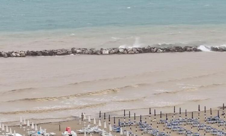 Alga tossica ed Escherichia Coli: doppio divieto temporaneo di balneazione nelle Marche
