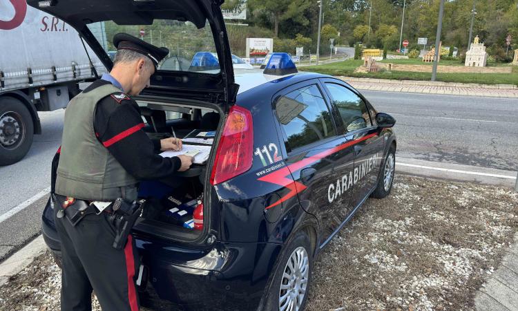 Tolentino, droga nascosta negli slip: denunciato 22enne