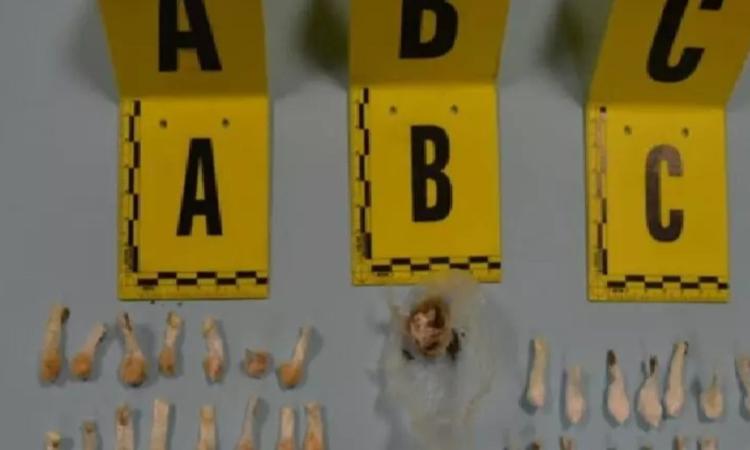 Un cittadino segnala su YouPol: la Polizia trova 30 dosi di cocaina nel parco
