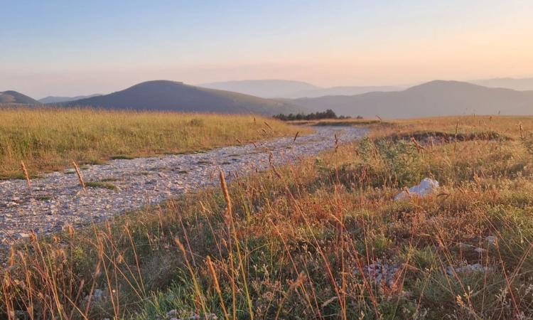 Un fiume di Sapori: natura e gusto protagonisti a Sefro Un fiume di Sapori: natura e gusto protagonisti a Sefro