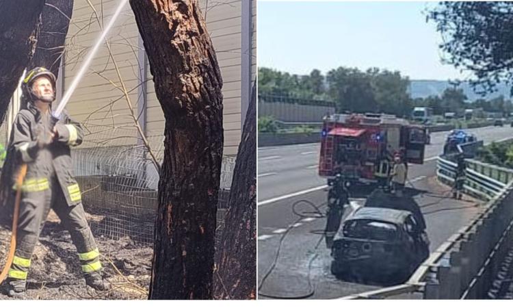 Civitanova, auto prende fuoco sull’A14: le fiamme coinvolgono la vegetazione