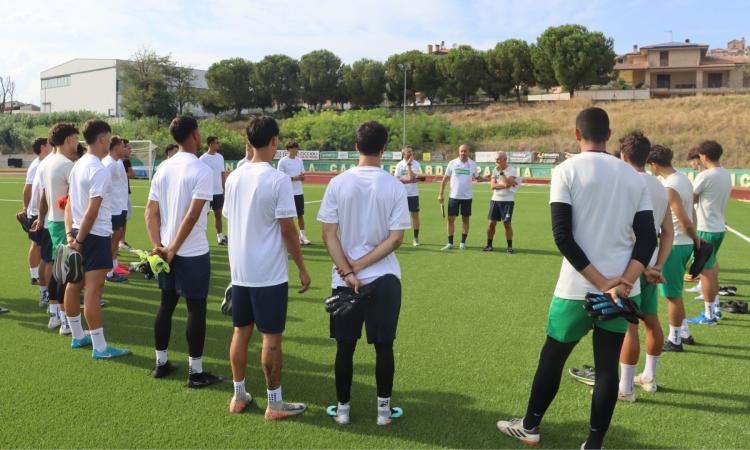 Serie D, Castelfidardo: salta la trattativa con Filippi, la società resta in mano ai soci storici