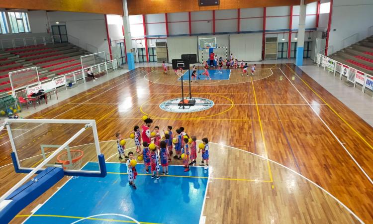San Severino, tutto pronto per il camp Basket Town al “Ciarapica” San Severino, tutto pronto per il camp Basket Town al “Ciarapica”