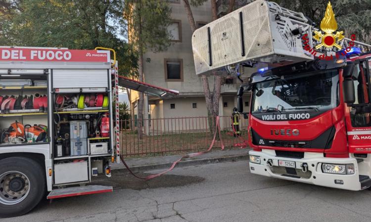 Macerata, incendio in via Volturno: i vigili del fuoco salvano una donna e i suoi tre gatti