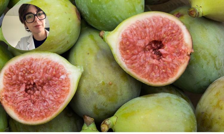 Settembre è il mese dei fichi: proprietà, benefici e falsi miti da sfatare