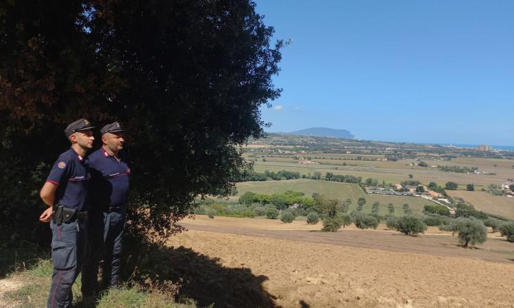 Potenza Picena, scoperto campo da golf abusivo di 17 ettari: denunciati proprietario e gestore