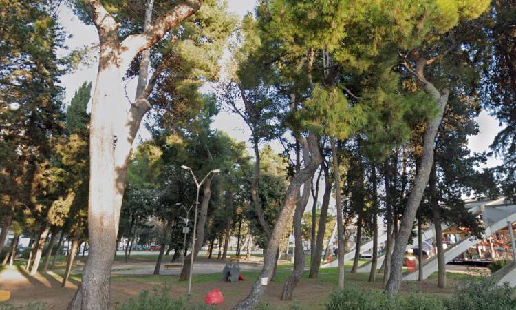 Civitanova, Dipende da Noi contro il progetto del Varco sul Mare: "Una mattanze di alberi, ma solo 20 sono malati"
