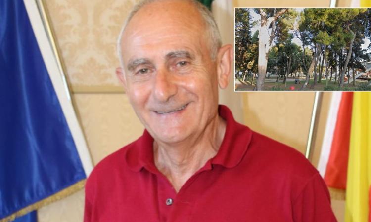 Area verde Varco sul mare, Carassai: “Abbattere necessario, ma compenseremo con nuove piantumazioni”