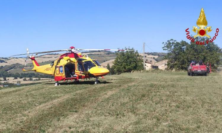 Incidente sul lavoro: operaio agricolo trasferito d'urgenza a Torrette