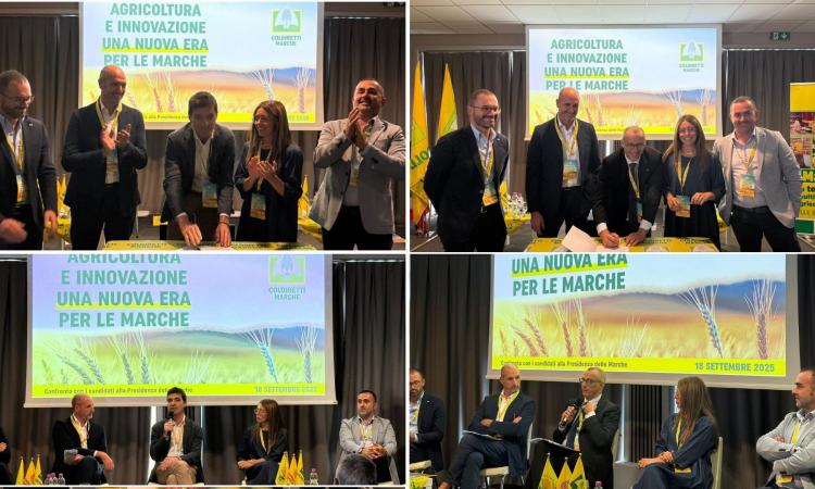 Marche, vertice Coldiretti-candidati: tra tutela delle filiere e sfide climatiche Marche, vertice Coldiretti-candidati: tra tutela delle filiere e sfide climatiche