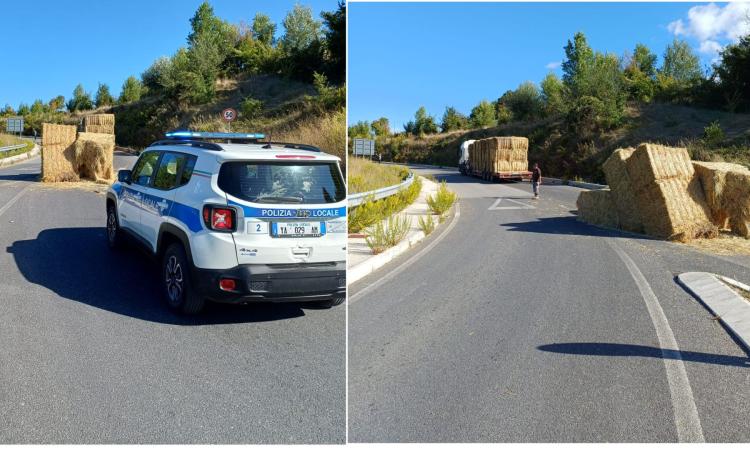 San Severino, balle di fieno cadono da un camion: strada chiusa per un’ora San Severino, balle di fieno cadono da un camion: strada chiusa per un’ora