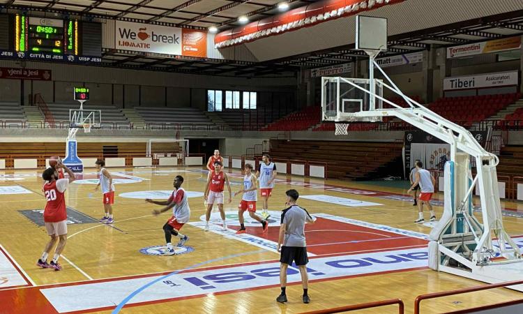 Basket, Halley Matelica brillante a Jesi: il test generale sorride ai biancorossi Basket, Halley Matelica brillante a Jesi: il test generale sorride ai biancorossi