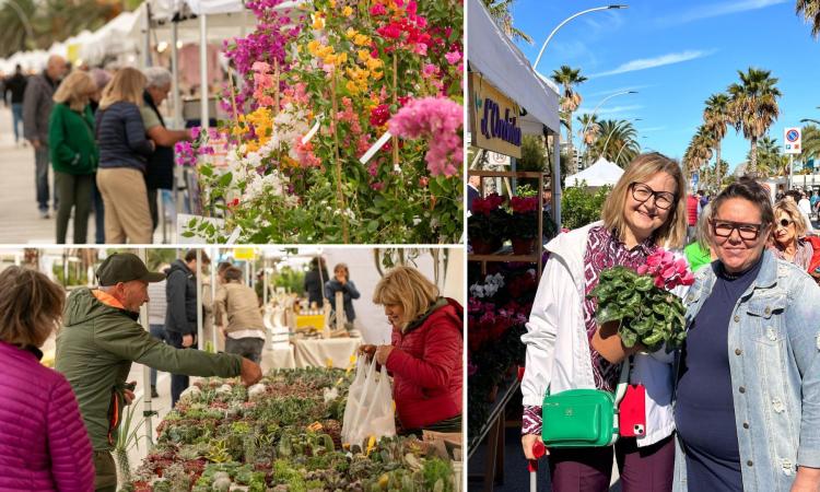 Civitanova, "Il Mare in Fiore" anche in autunno: torna la mostra mercato a tema floreale
