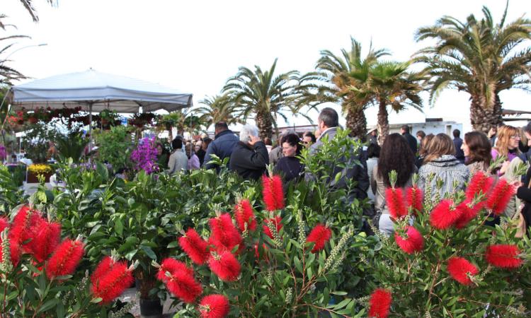 Civitanova si colora d’autunno con “Il Mare in Fiore”