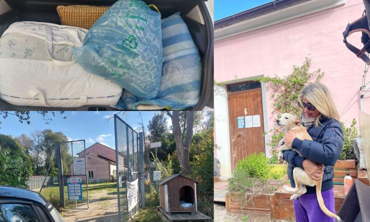 "Coperte e piumoni per gli animali del canile di Macerata: un gesto d'amore per chi non ha voce"