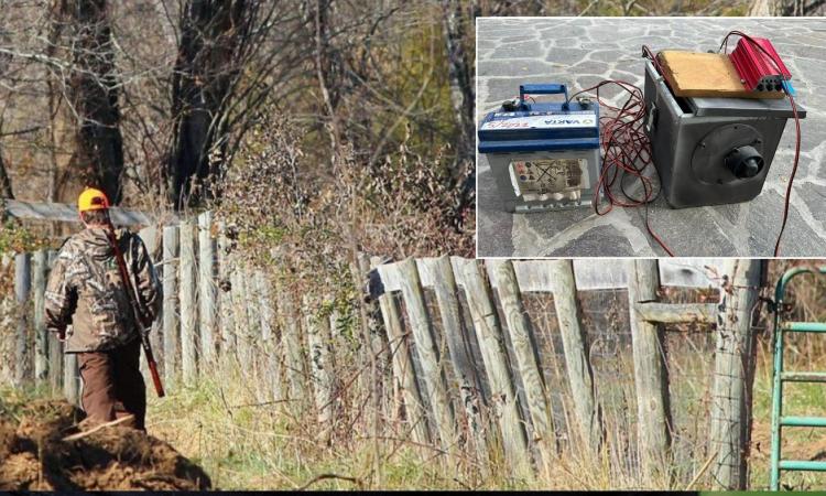 Operazione anti-bracconaggio: sei richiami illegali per quaglie sequestrati nel Maceratese