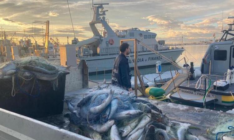 Pesca illegale: sequestrati 300 kg di pesce, sanzioni per 20mila euro Pesca illegale: sequestrati 300 kg di pesce, sanzioni per 20mila euro