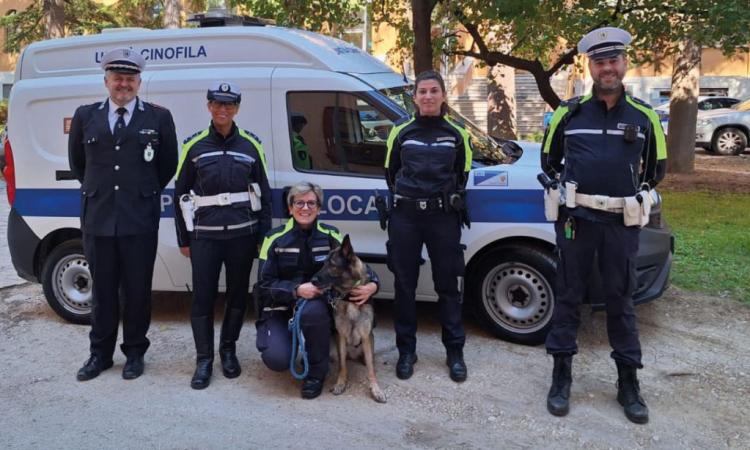 Macerata, controlli antidroga vicino alle scuole: tre persone segnalate, tra loro un minorenne
