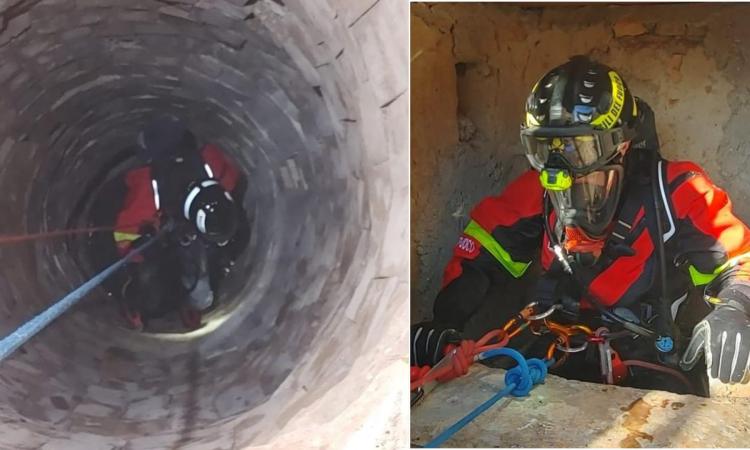 Cingoli, gatto cade in un pozzo profondo 10 metri: intervengono i Vigili del Fuoco