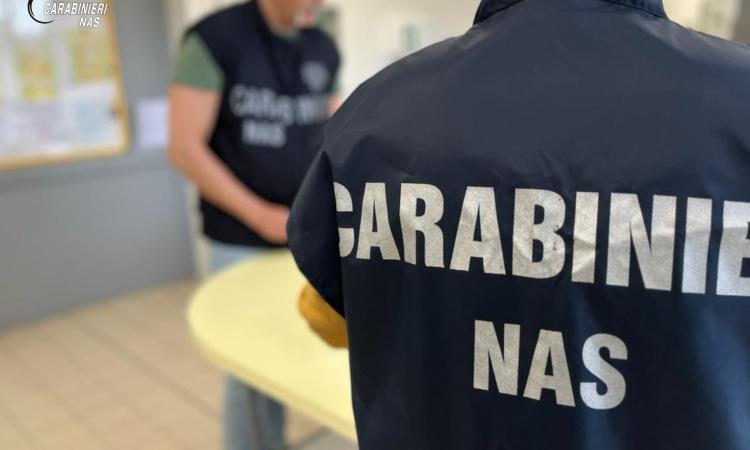 Civitanova, nella pasticceria ragnatele e sporcizia: arrivano i Nas e scatta la multa Civitanova, nella pasticceria ragnatele e sporcizia: arrivano i Nas e scatta la multa