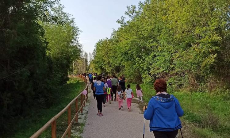 A Montecassiano la "Camminata in rosa" A Montecassiano la "Camminata in rosa"