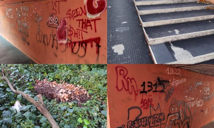 "Ratti, sporcizia e muri imbrattati. Via Ancona una discarica a cielo aperto. Il Comune faccia qualcosa"