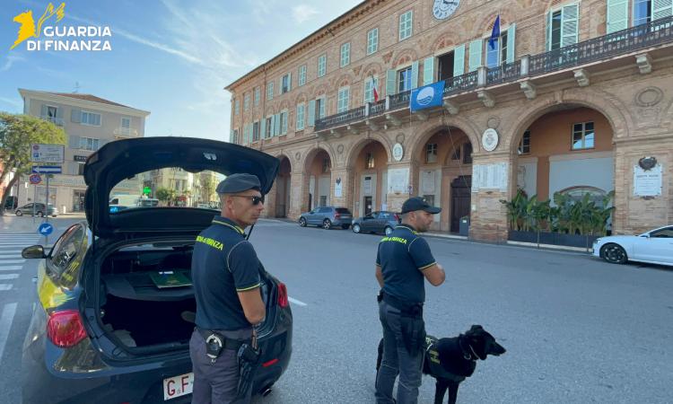 Civitanova, sequestrati oltre 40 kg di marijuana presso un hub di spedizioni: denunciato il destinatario