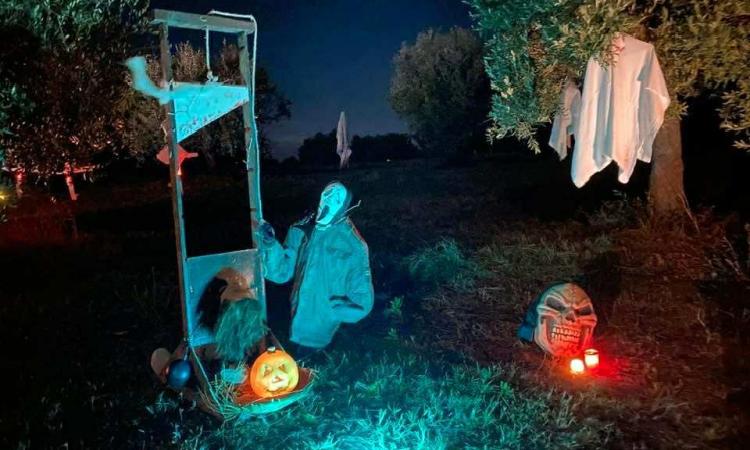 Un'intera contrada che si trasforma in 'villaggio del terrore': "Nel nostro uliveto va in scena la paura" Un'intera contrada che si trasforma in 'villaggio del terrore': "Nel nostro uliveto va in scena la paura"