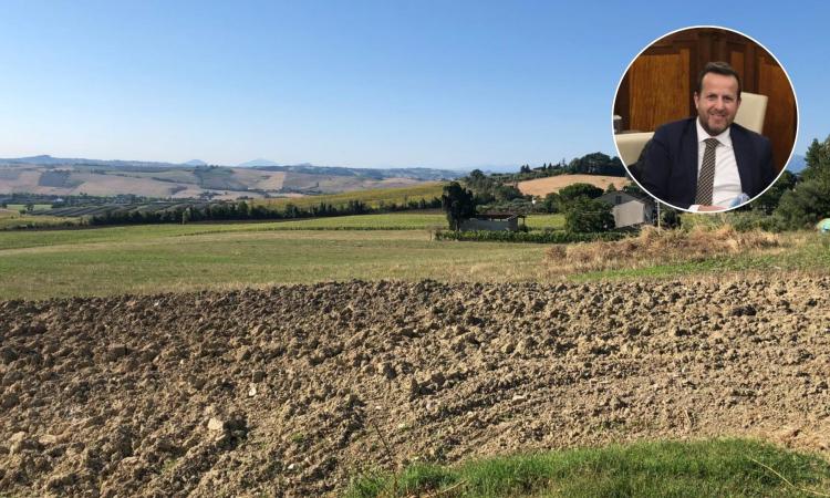 Pollenza, il sindaco Romoli replica a Sestili: "Discarica a Cantagallo? Noi produciamo fatti, loro comunicati" Pollenza, il sindaco Romoli replica a Sestili: "Discarica a Cantagallo? Noi produciamo fatti, loro comunicati"