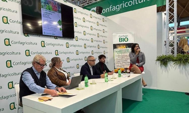 Distretti biologici a confronto, Marche protagoniste a Ecomondo 2025 Distretti biologici a confronto, Marche protagoniste a Ecomondo 2025