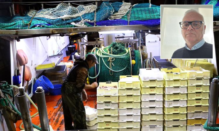 "Per salvare uno scampo in più rischiamo di togliere il lavoro a decine di migliaia di pescatori" "Per salvare uno scampo in più rischiamo di togliere il lavoro a decine di migliaia di pescatori"
