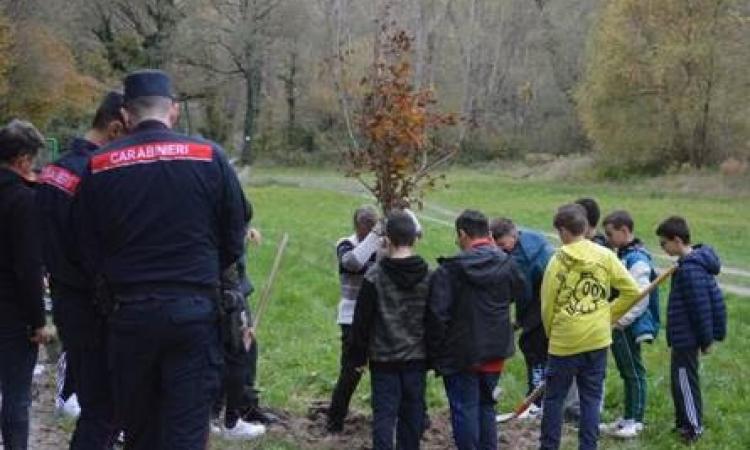 Valfornace celebra la "Festa dell'Albero": un impegno per il futuro verde con le scuole Valfornace celebra la "Festa dell'Albero": un impegno per il futuro verde con le scuole