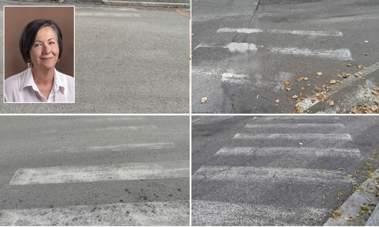 Strisce pedonali concetto ideale, Avs contro la giunta: "Macerata vuole sicurezza quotidiana, non solo grandi opere" Strisce pedonali concetto ideale, Avs contro la giunta: "Macerata vuole sicurezza quotidiana, non solo grandi opere"
