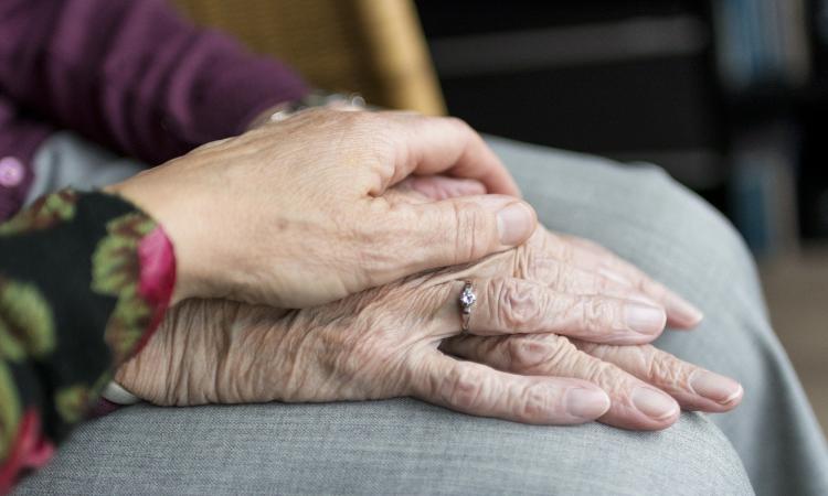 "Non lasciare spegnere un sorriso": a Macerata la Giornata Parkinson tra arte e rinascita "Non lasciare spegnere un sorriso": a Macerata la Giornata Parkinson tra arte e rinascita
