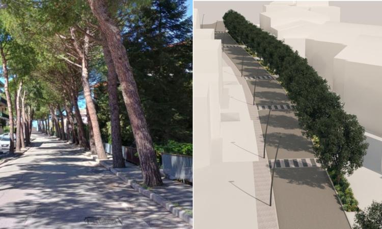 Corridonia, approvato il progetto di riqualificazione per viale Montolmo: priorità a sicurezza e abbattimento barriere Corridonia, approvato il progetto di riqualificazione per viale Montolmo: priorità a sicurezza e abbattimento barriere