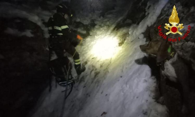 Sarnano, finiscono in un canalone mentre inseguono un cinghiale: salvati due cani da caccia Sarnano, finiscono in un canalone mentre inseguono un cinghiale: salvati due cani da caccia