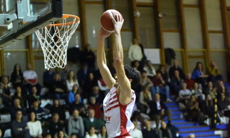 Basket, Halley da urlo: travolta Senigallia, è dominio Vigor: 88-58 Basket, Halley da urlo: travolta Senigallia, è dominio Vigor: 88-58