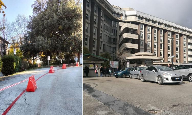 Ospedale di Macerata: cinque parcheggi (gratuiti) riservati ai donatori Avis