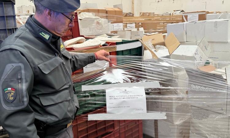Civitanova, oltre 51mila calzature e fondi di suole contraffatti: due imprenditori denunciati