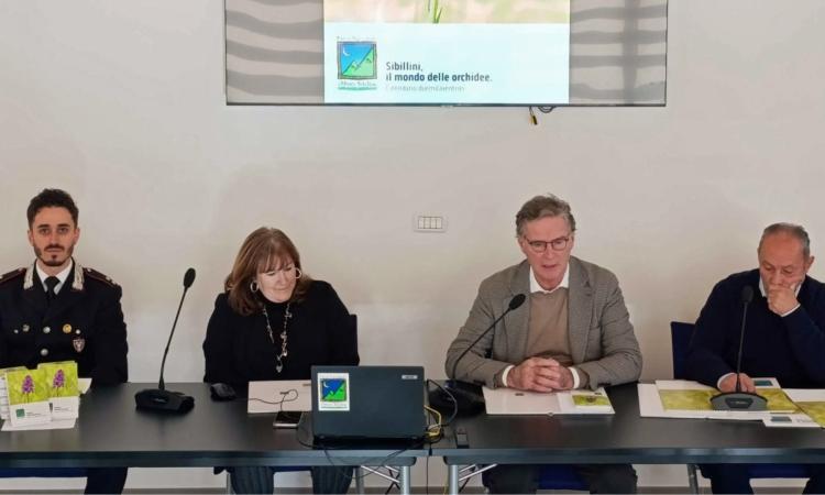 Nel Parco dei Sibillini ci sono 65 specie di orchidee: il nuovo calendario 2026 le racconta in foto