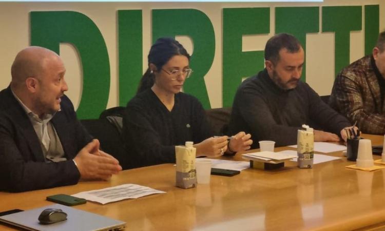 "Questa non è l'Europa che vogliamo": Coldiretti Marche in piazza a Bruxelles per difendere l'agricoltura "Questa non è l'Europa che vogliamo": Coldiretti Marche in piazza a Bruxelles per difendere l'agricoltura