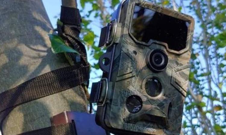 Riserva del Monte San Vicino e Canfaito, più videosorveglianza: in campo fototrappole, spycam e un drone Riserva del Monte San Vicino e Canfaito, più videosorveglianza: in campo fototrappole, spycam e un drone