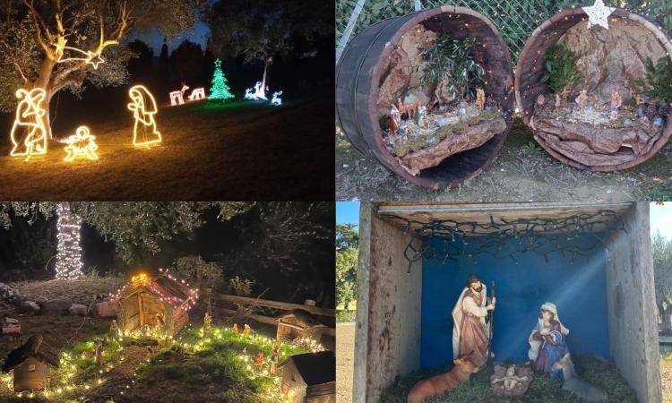 A Macerata nascono "Le Contrade dei Presepi": da Cervare a Botonto, la Via Lauretana si illumina per Natale A Macerata nascono "Le Contrade dei Presepi": da Cervare a Botonto, la Via Lauretana si illumina per Natale
